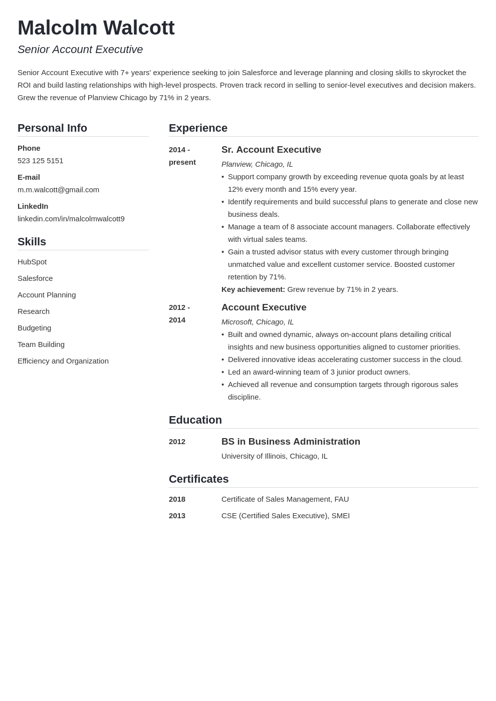 account executive resume example template simple