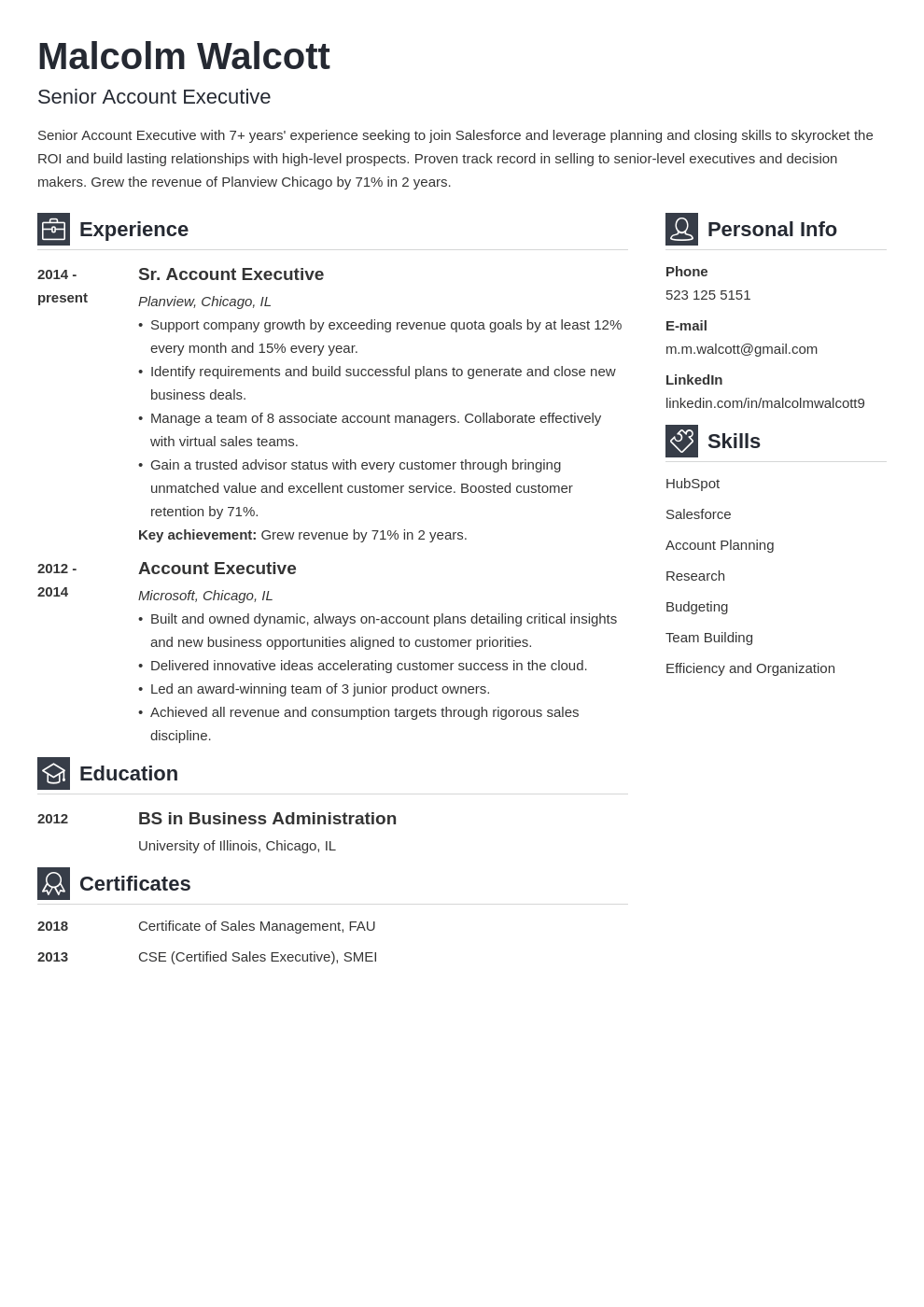 account executive resume example template vibes
