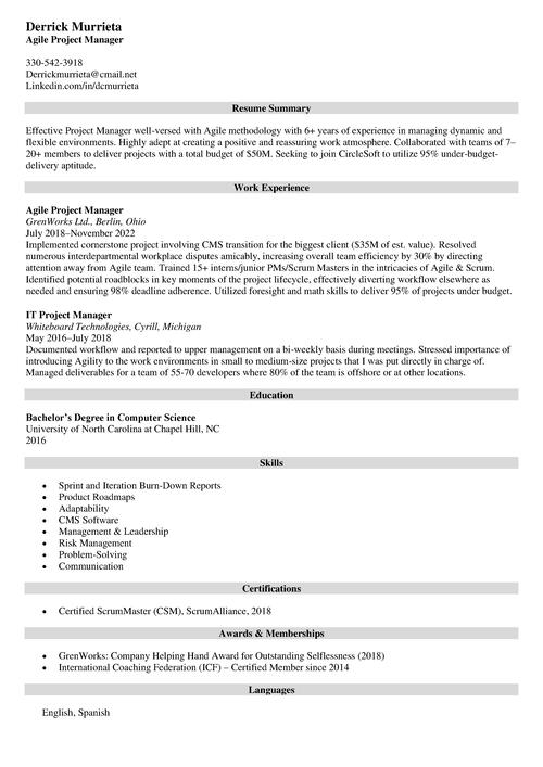 Agile project manager resume example