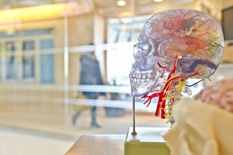 Medical Assistant Resume: Examples & Templates