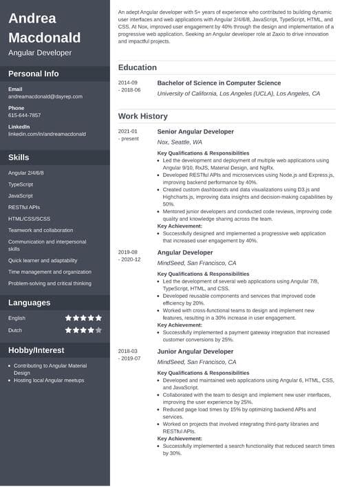 Angular developer resume example