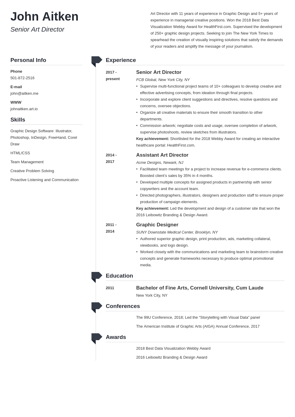 Art Director Resume Summary