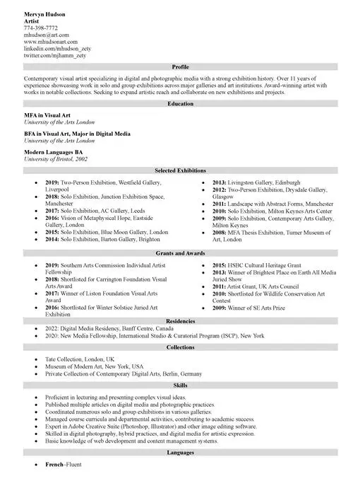 artist cv example
