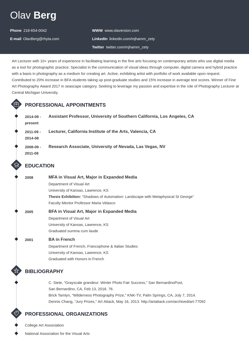 Artist CV Example Template Guide With 20 Tips 