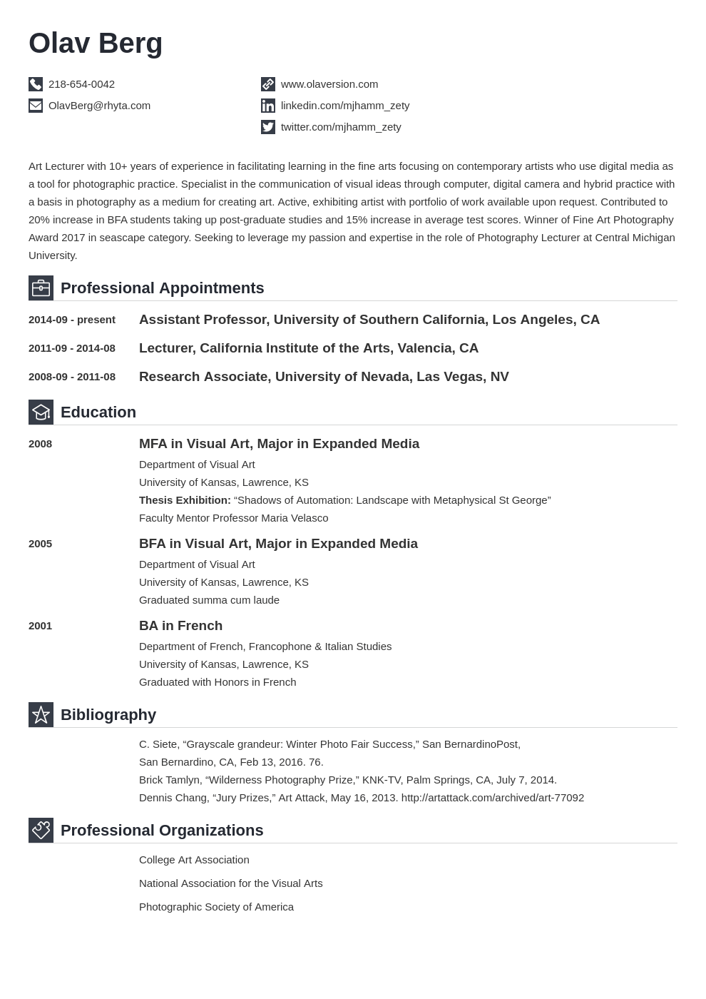 artist cv example template iconic