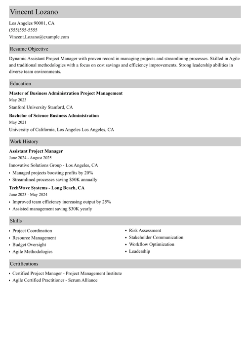 assistant project manager resume example