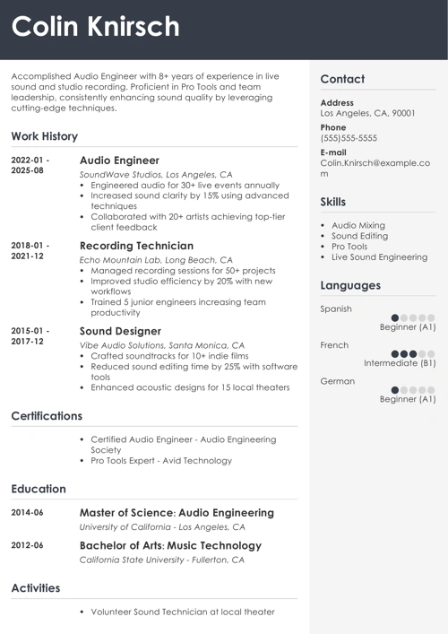 sample resume example