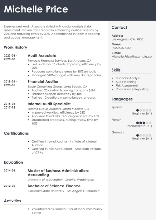 Audit Associate Resume Example