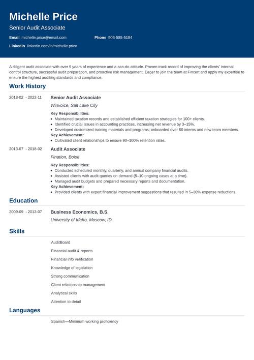 Audit Associate Resume Example