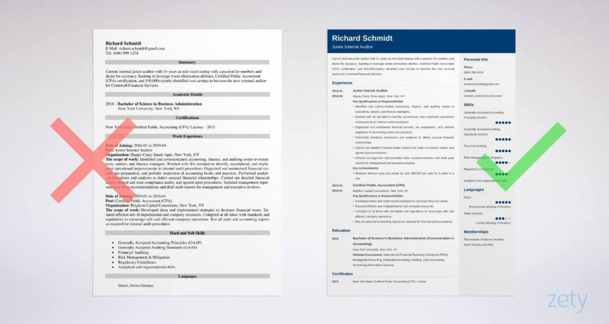 auditor resume example
