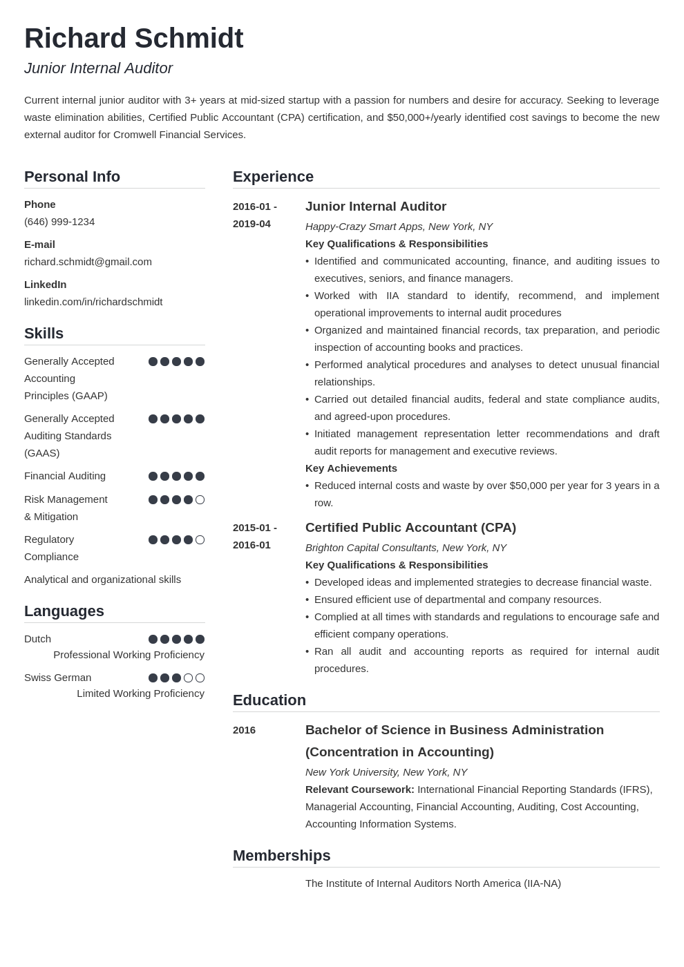 auditor resume example template simple