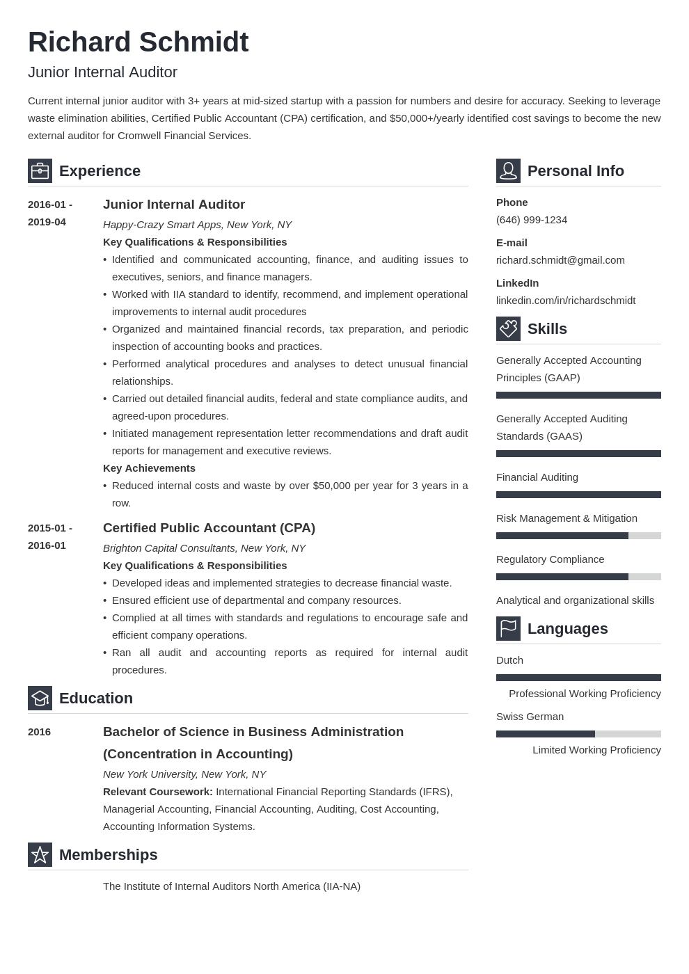 auditor resume example template vibes