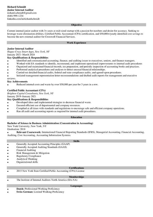 Auditor Resume Example