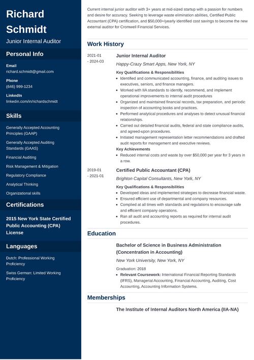 Auditor Resume Example