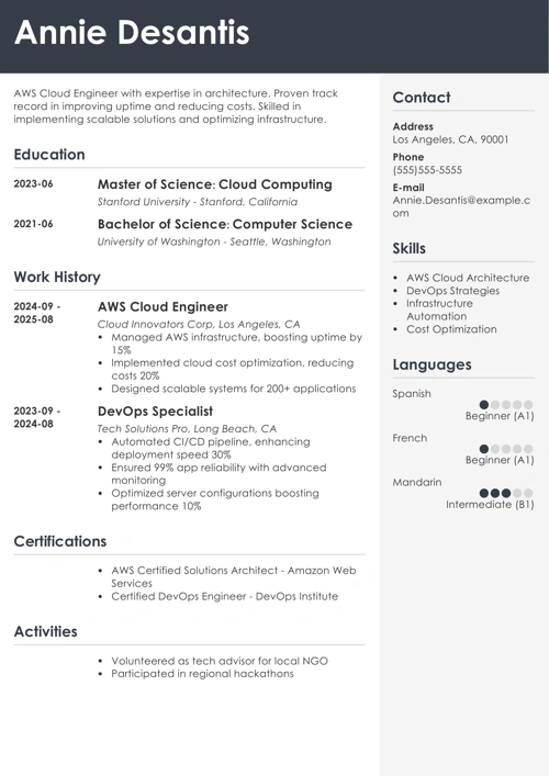sample resume example