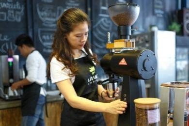 Barista Cover Letter Sample & Guide (Also for No Experience)