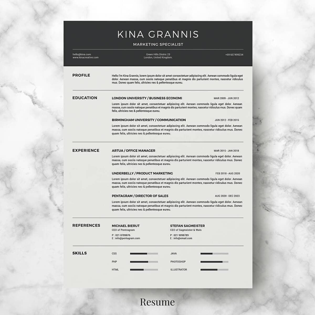 Basic Resume Templates (15  Examples to Download Use Now)