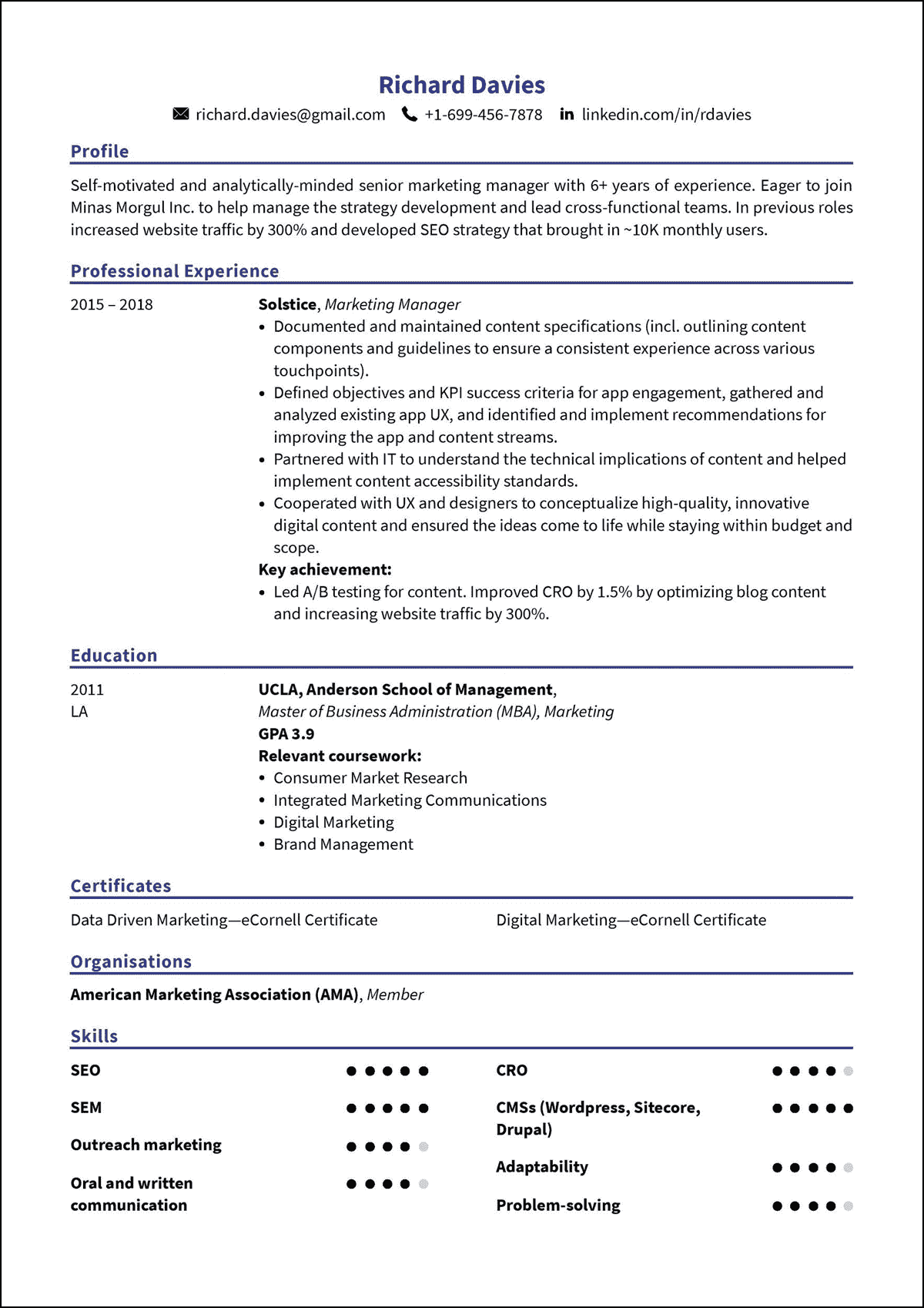 professional resume maker online