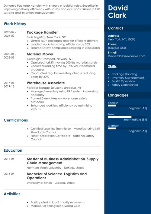 sample resume example