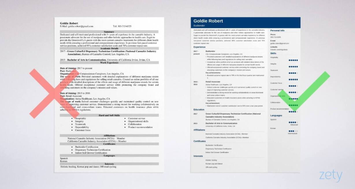 budtender resume templates