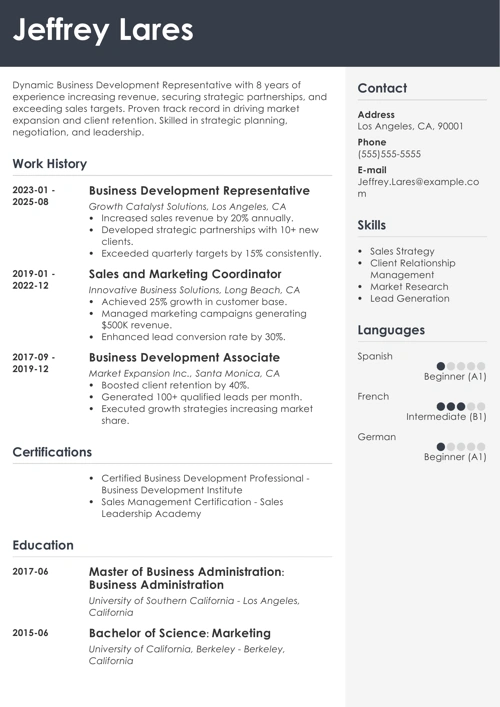 business development representative resume example