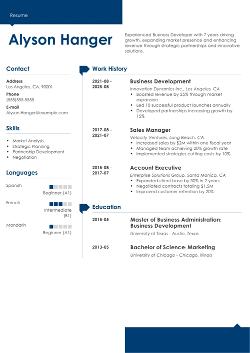 sample resume example