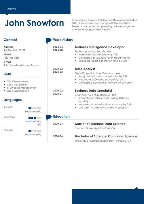 business intelligence resume example