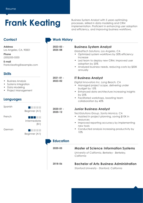 business system analyst resume example