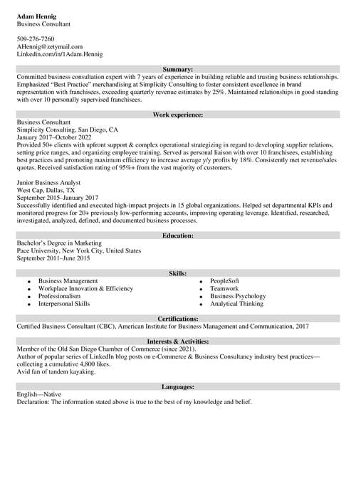 business consultant resume example