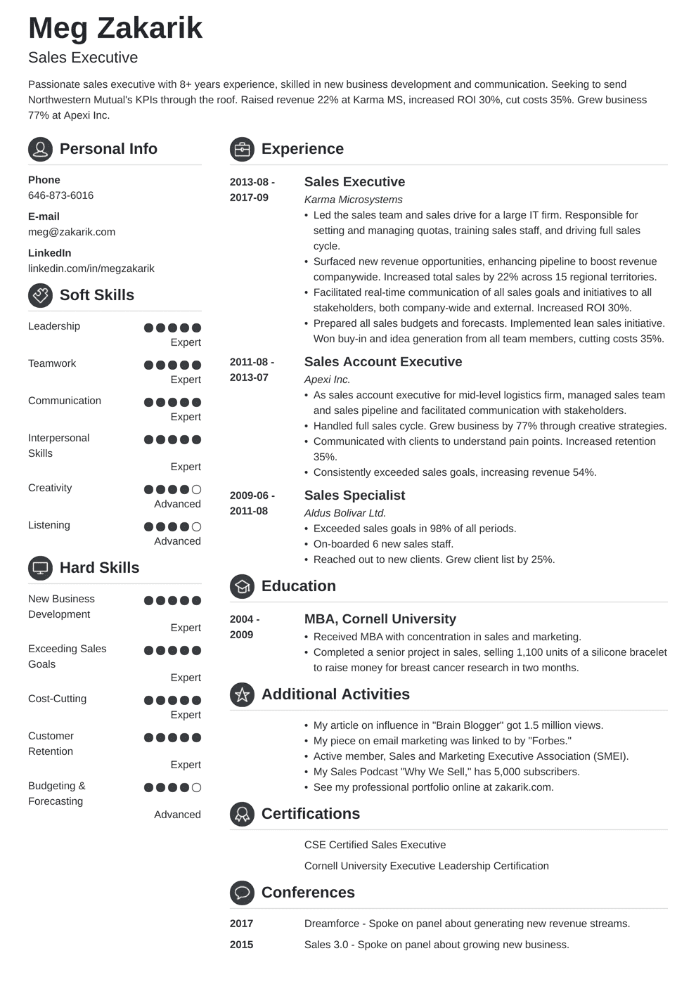 Business Resume Template (20+ Professional Examples)