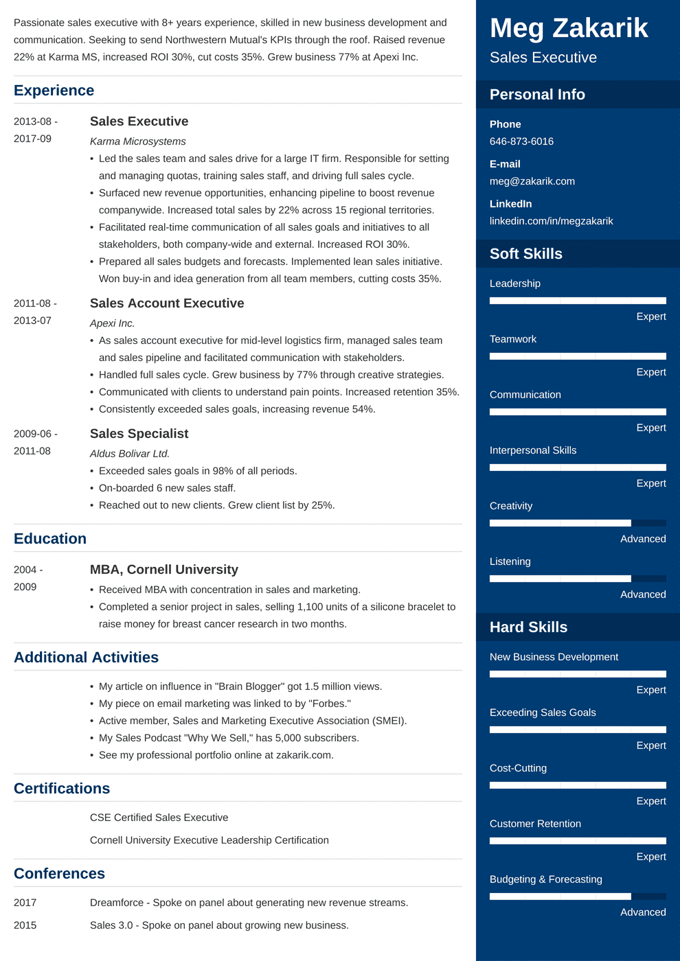 Business Resume Template (20+ Professional Examples)