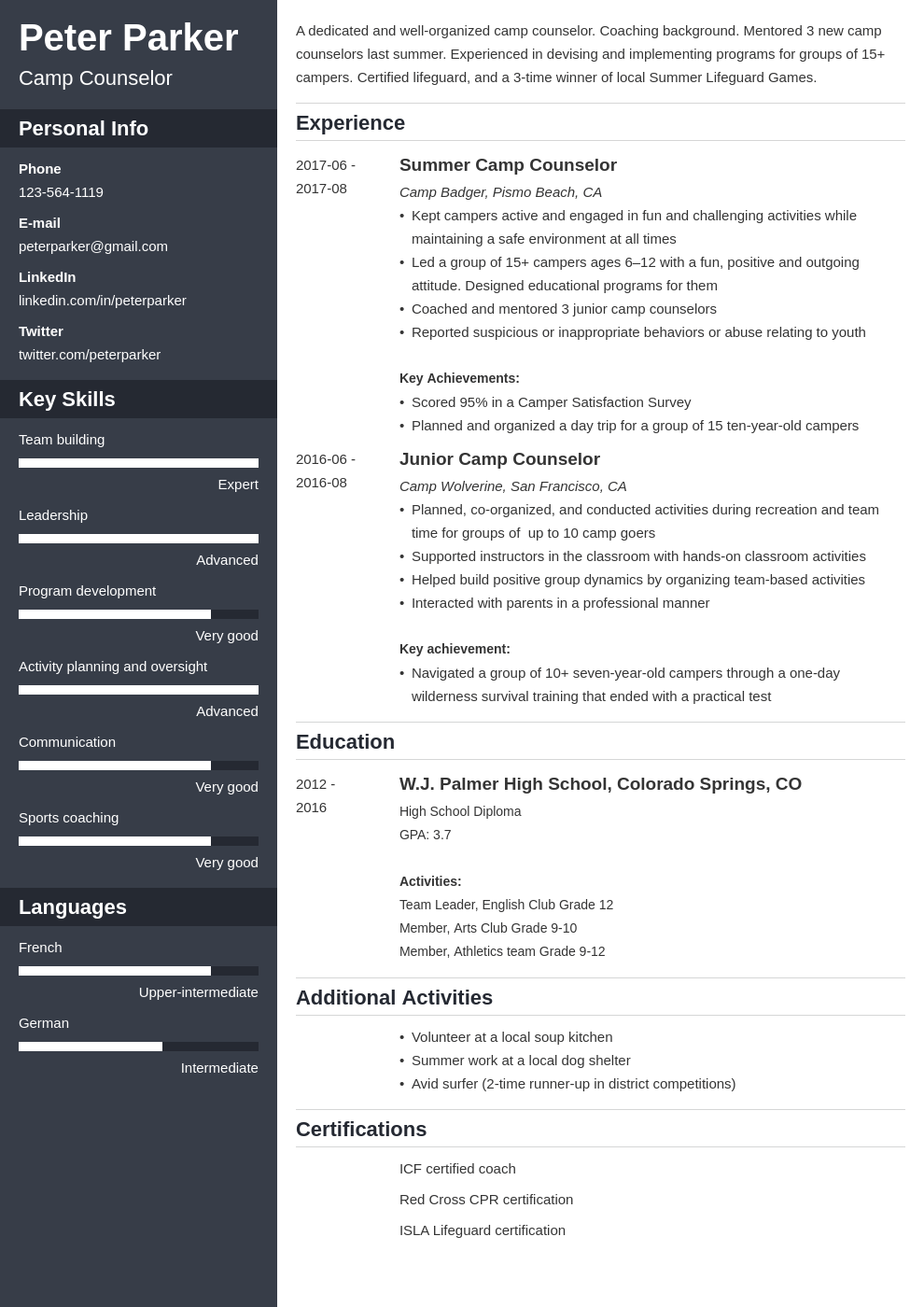 camp counselor resume example template cascade