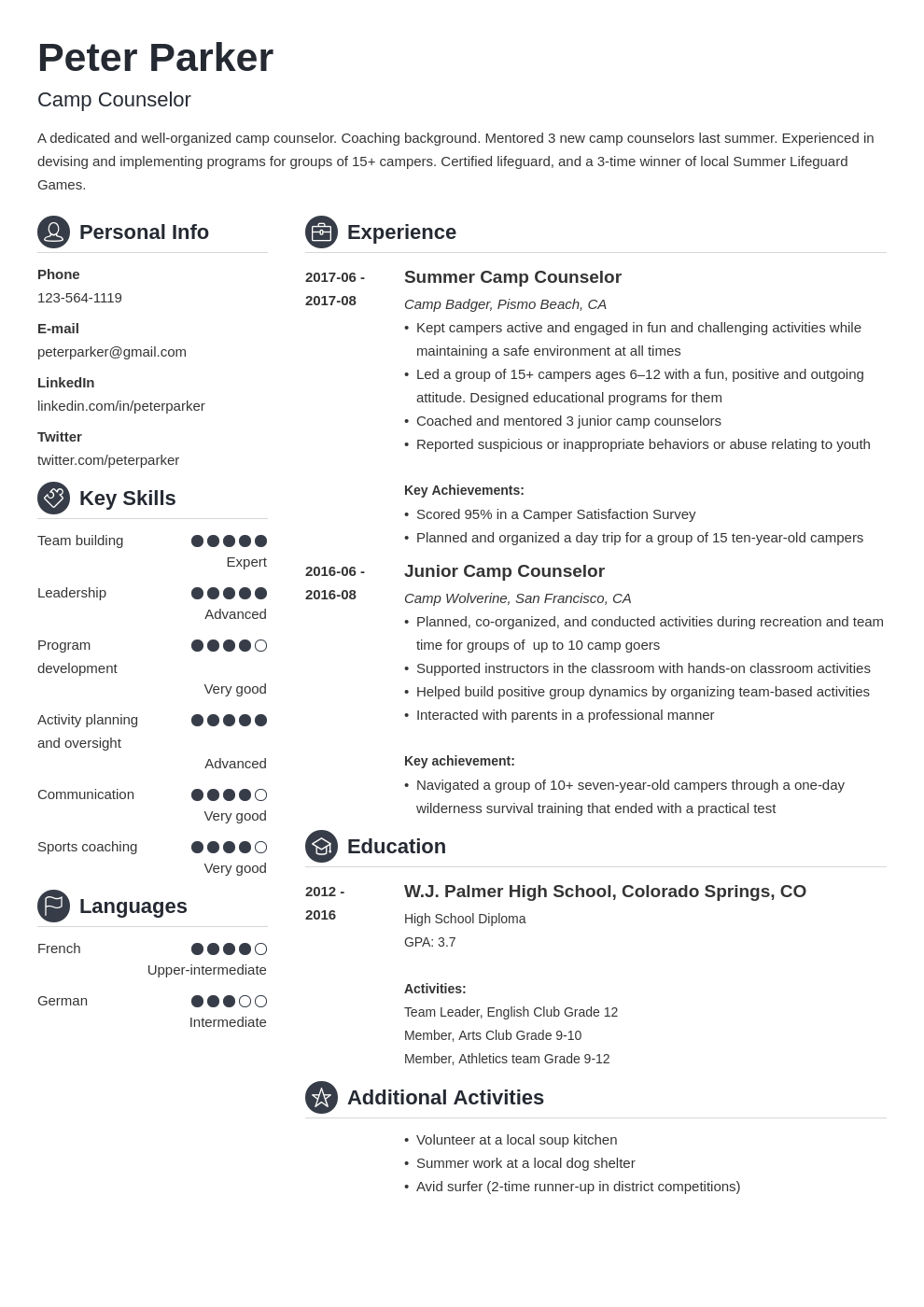 camp counselor resume example template crisp