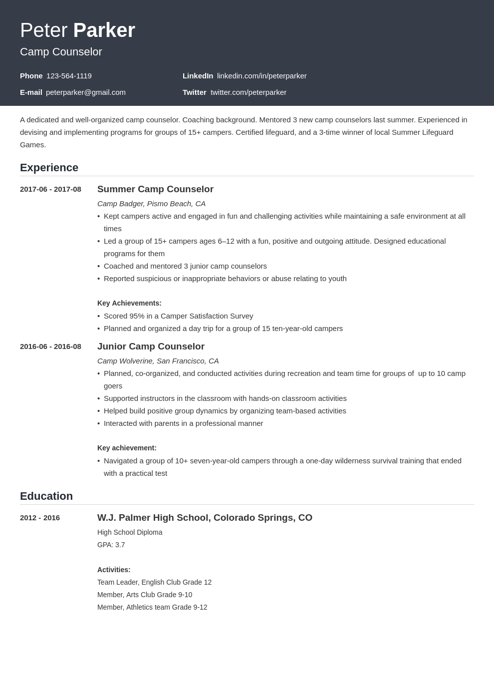 camp counselor resume example template influx