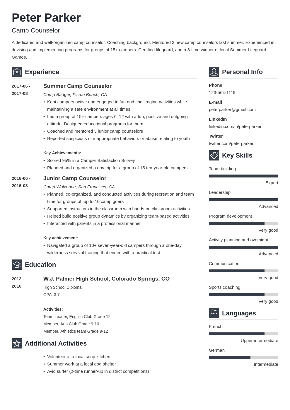 camp counselor resume example template vibes