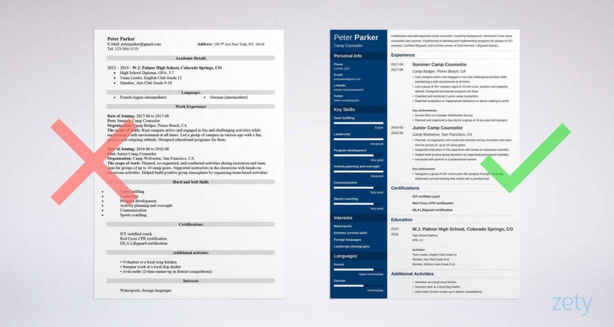 Camp Counselor Resume Samples Master Of Template Document