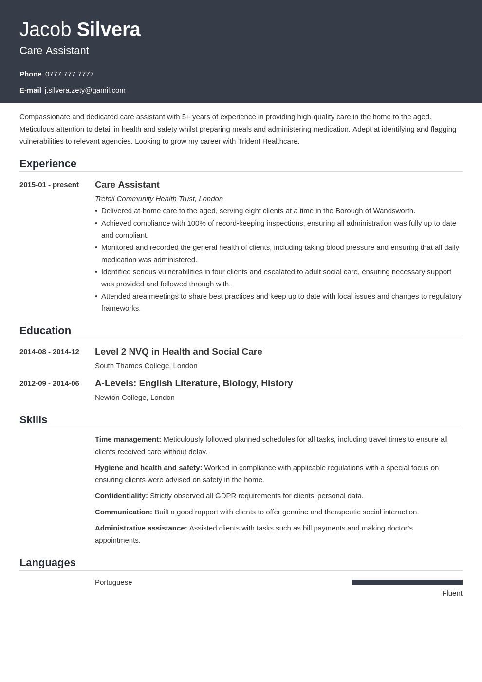 Care Assistant Cv Example And Writing Guide