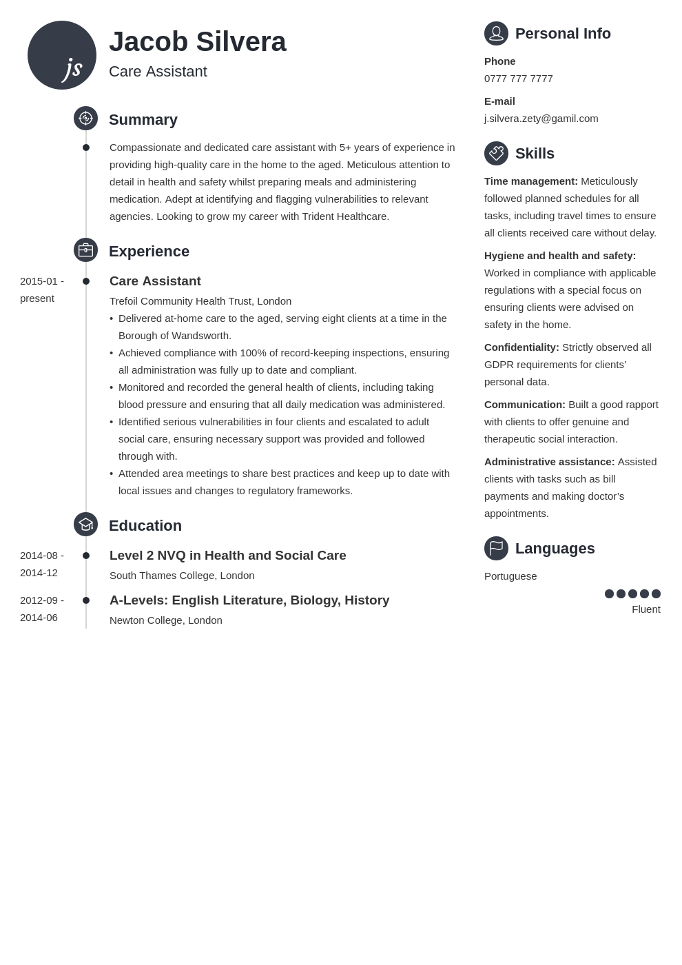 Care Assistant CV Example And Writing Guide