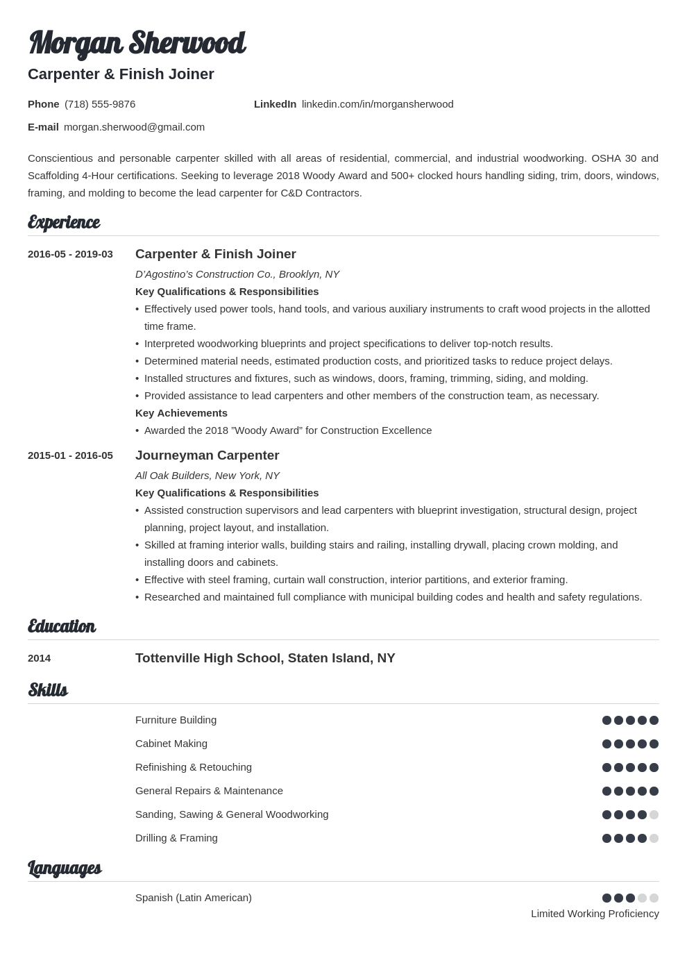 Carpenter Resume Examples Job Description Skills Template