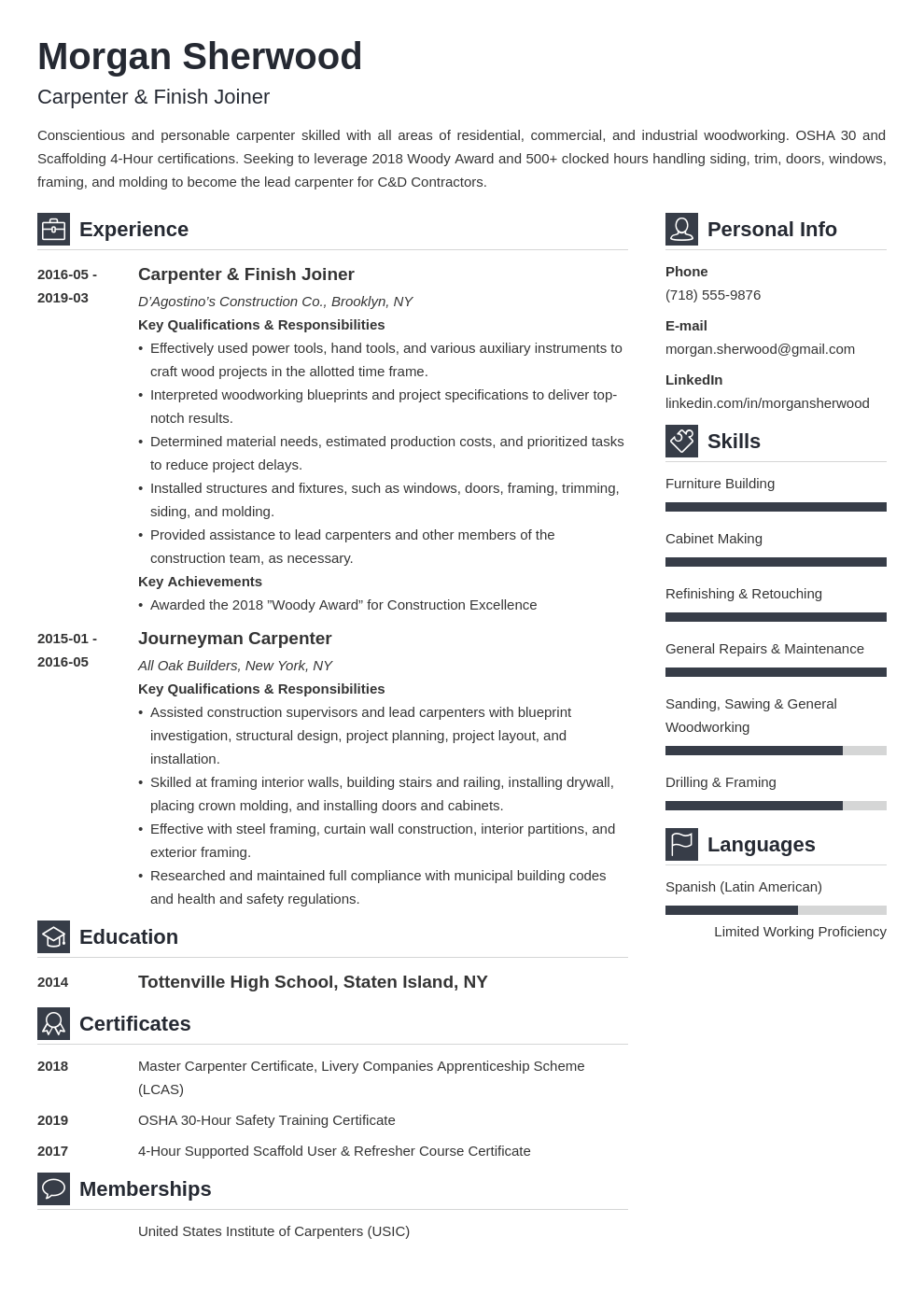 carpenter resume example template vibes