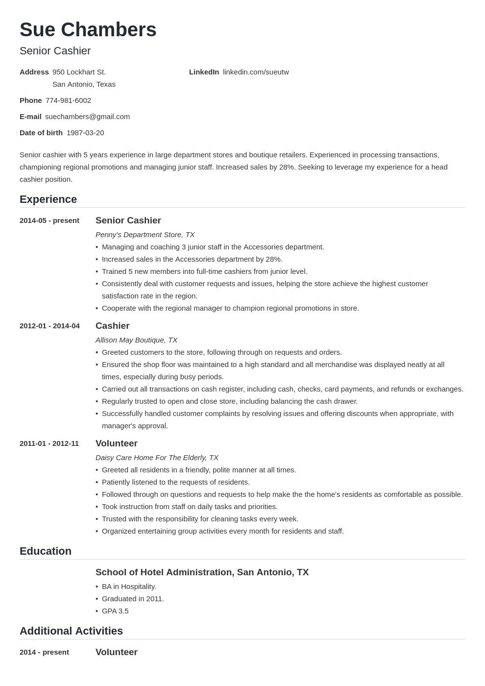 professional summary of resume cashier