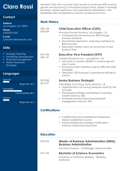 CEO resume example
