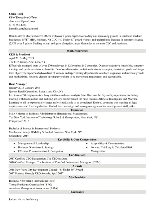 CEO resume example