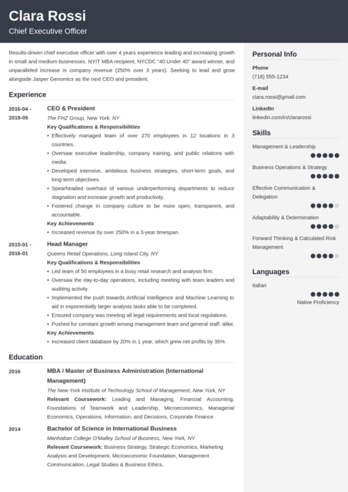 CEO resume example