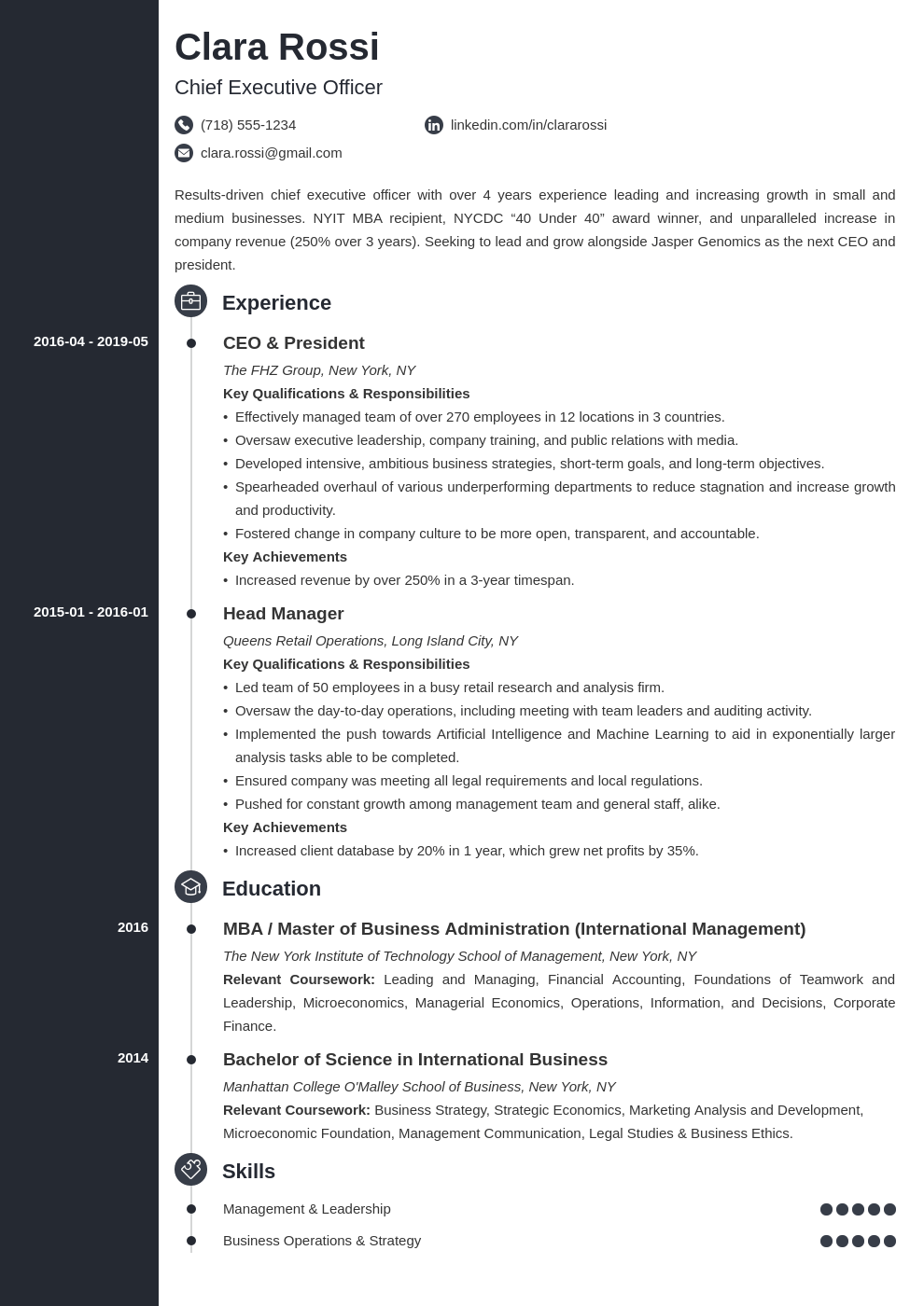 Chief Executive Officer CEO Resume Template Examples