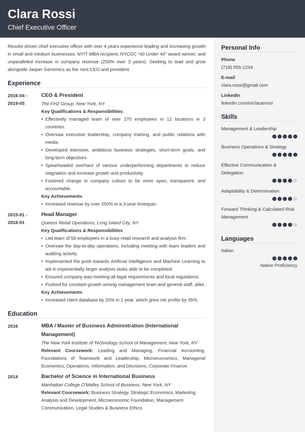 ceo resume example template cubic
