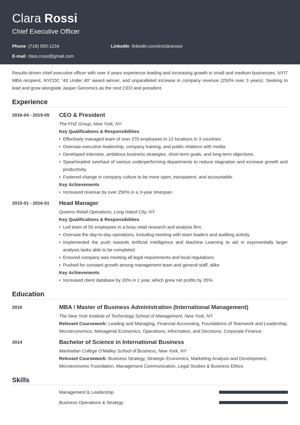 ceo resume example template influx