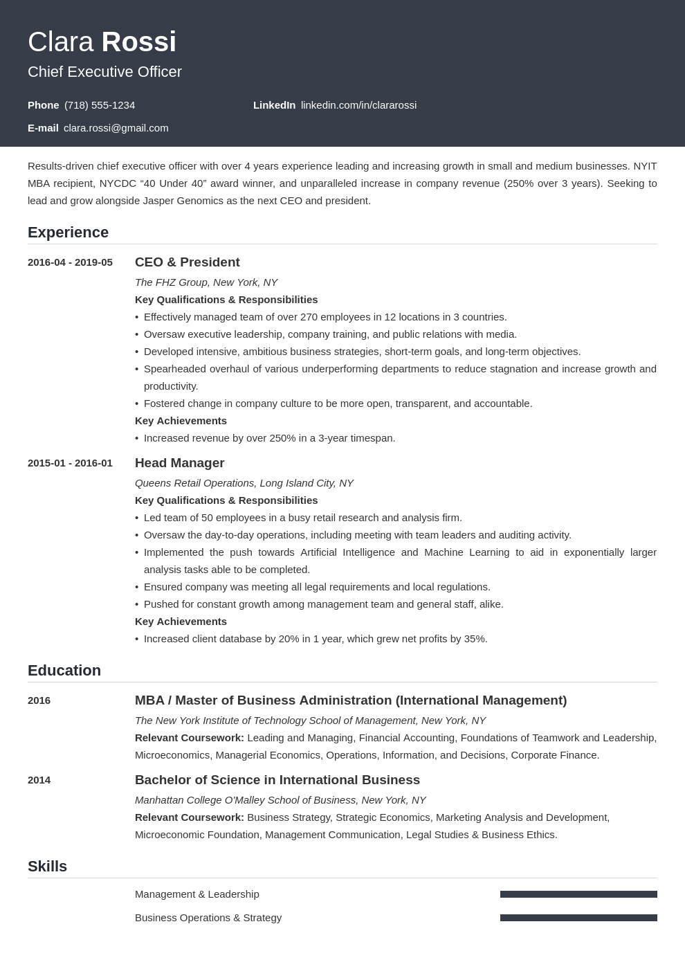 Ceo Resume Template Word