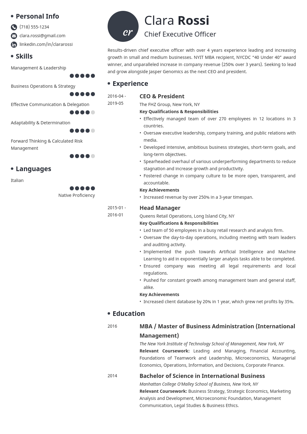 Chief Executive Officer CEO Resume Template Examples