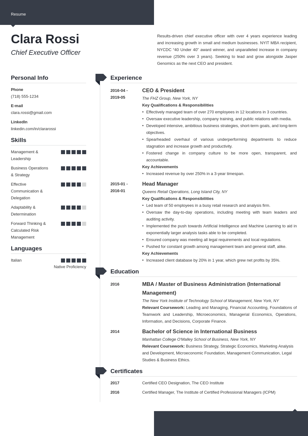 ceo resume example template modern